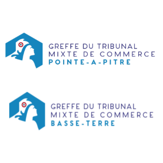 la fep daniel gainetdinoff formations coaching masterclass